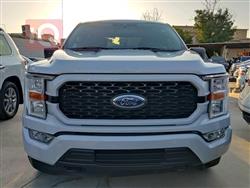 فۆرد F-150
